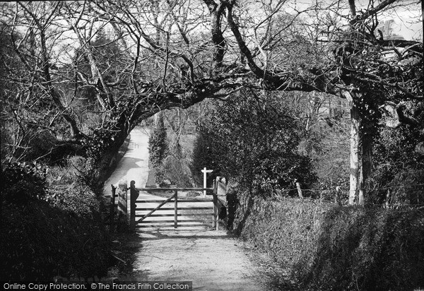 Photo of St Mawgan, Carnanton Woods c.1900