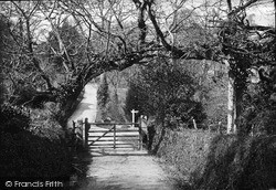 Carnanton Woods c.1900, St Mawgan