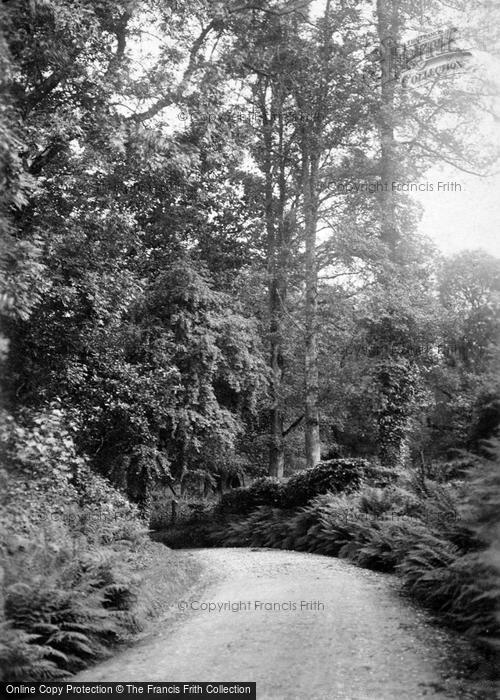 Photo of St Mawgan, Carnanton Woods c.1910