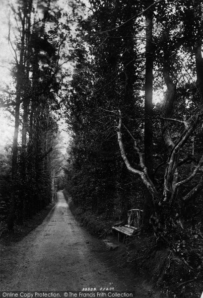 Photo of St Mawgan, Carnanton Woods, The Avenue 1894