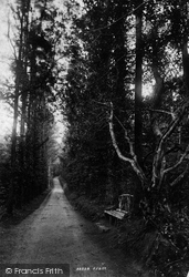 Carnanton Woods, The Avenue 1894, St Mawgan