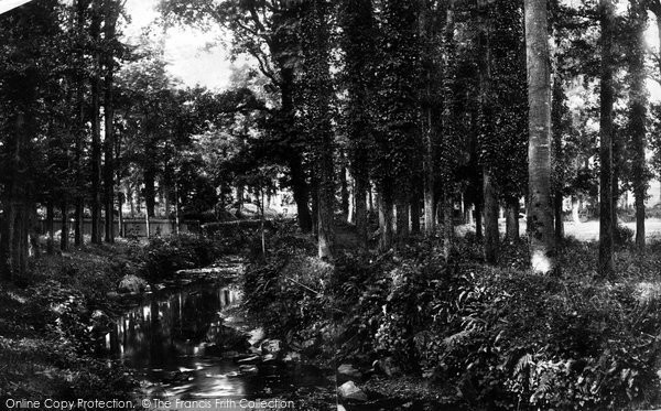 Photo of St Mawgan, In The Woods 1888