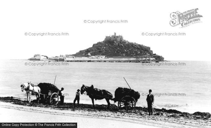 Photo of St Michael's Mount, Collecting Seaweed 1895
