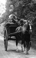 Horse & Cart, Mill Lane 1897, St Neots