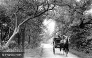 Mill Lane 1897, St Neots