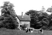 c.1955, Stafford