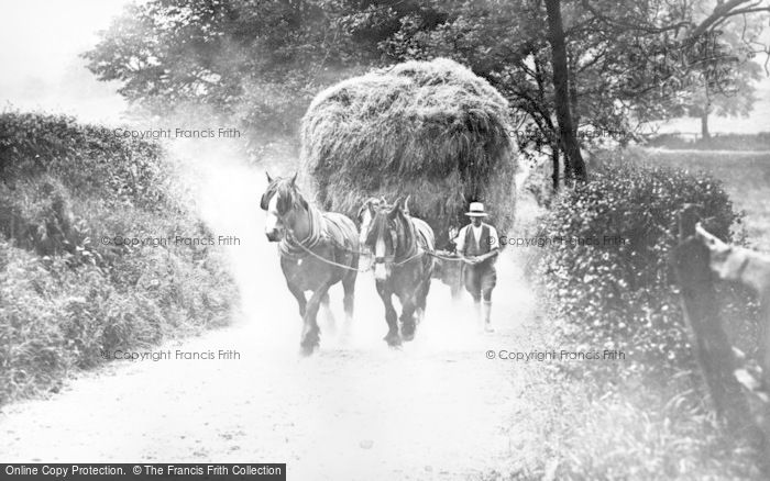 Photo of Stafford, Hay Carting c.1895