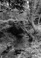 The Beck c.1965, Staintondale