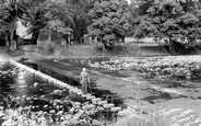 The Stepping Stones c.1965, Stanhope