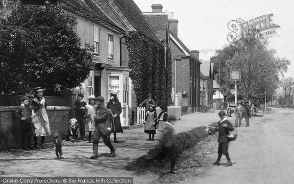 Photo of Stansted Mountfitchet, Children With A Pet Monkey 1903