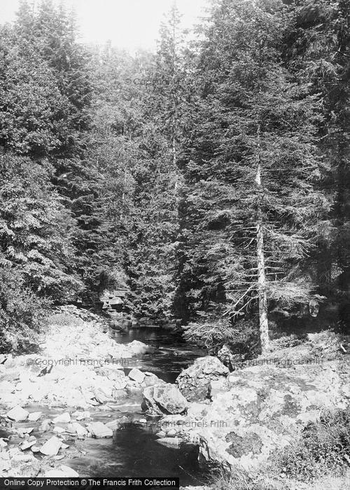 Photo of Startforth, Deepdale Woods 1892