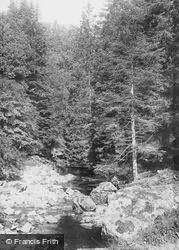 Deepdale Woods 1892, Startforth