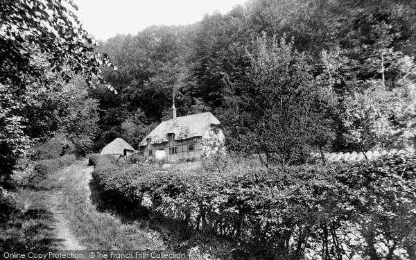 Photo of Steep, Ludcombe Cottage 1898