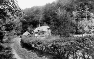 Ludcombe Cottage 1898, Steep