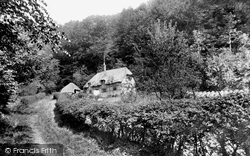 Ludcombe Cottage 1898, Steep