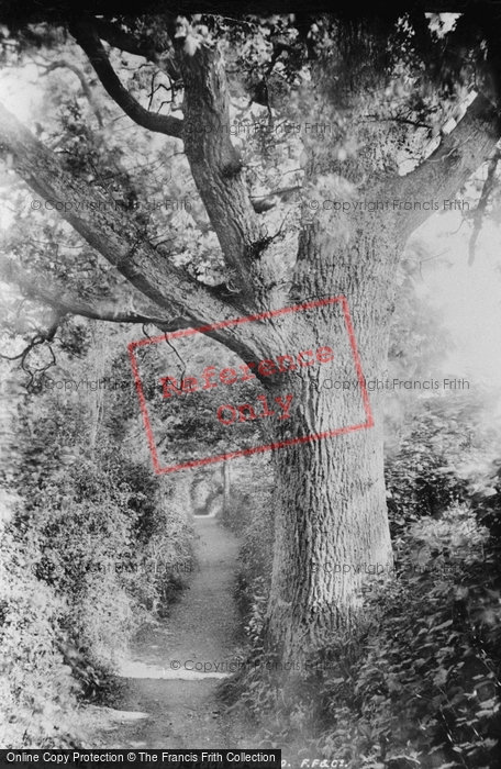 Photo of Steep, Path To Church 1898