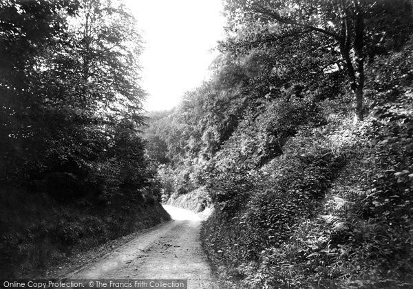 Photo of Steep, Road Near Vicarage 1898