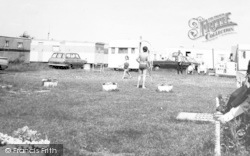 Steeple Bay Camp c.1965, Steeple