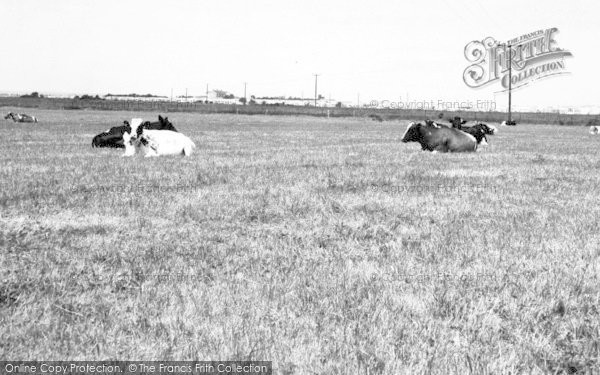 Photo of Steeple, Steeple Bay Camp From Meadows c.1965