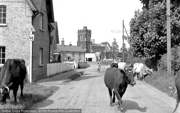 Photo of Steppingley, The Village c.1955