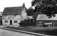 A Horse And Cart, Coreys Mill 1903, Stevenage