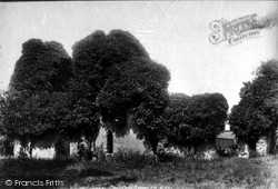 Chesfield Ruins 1899, Stevenage