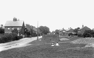 Letchmore Green 1899, Stevenage