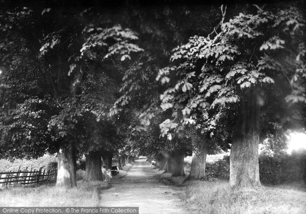 Photo of Stevenage, The Avenue 1899