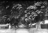 The Avenue 1899, Stevenage