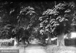 The Avenue 1899, Stevenage