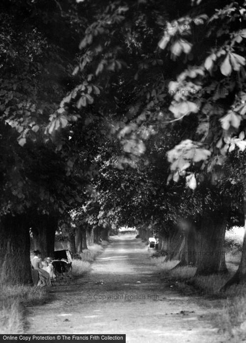 Photo of Stevenage, The Avenue 1899