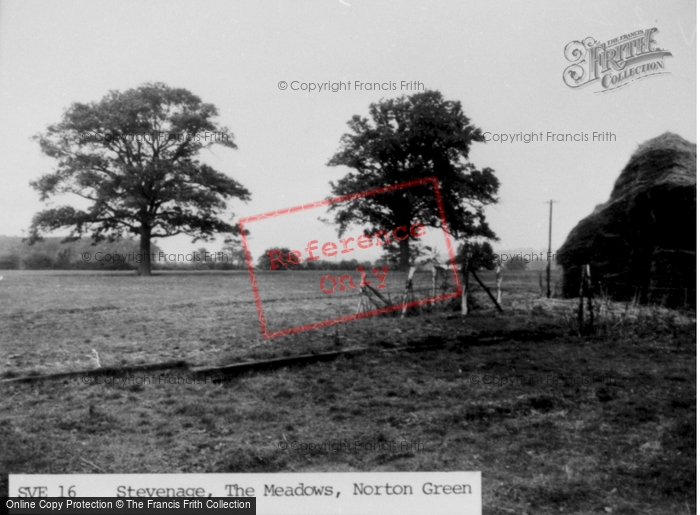 Photo of Stevenage, The Meadows, Norton Green c.1955