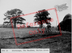 The Meadows, Norton Green c.1955, Stevenage