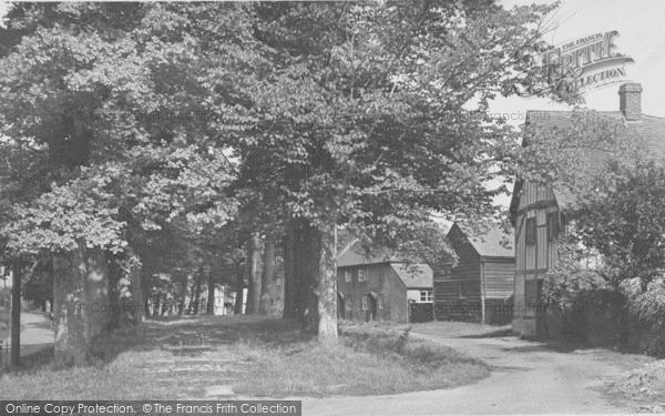 Photo of Steventon, The Causeway c.1955