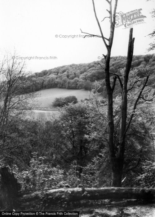 Photo of Steyning, The South Downs c.1965