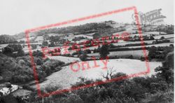 View From The Church Tower c.1955, Stockland