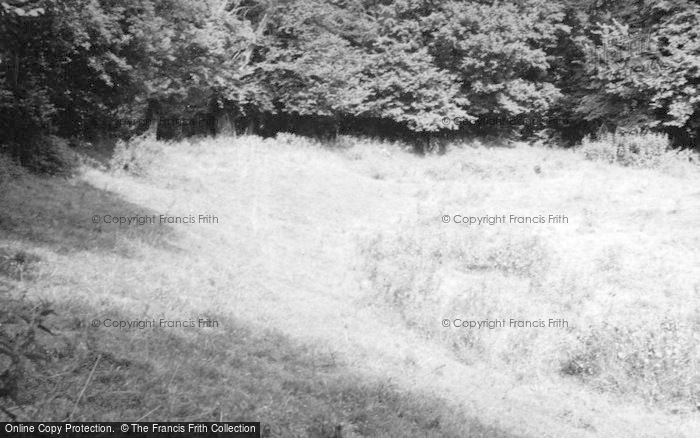 Photo of Stoford, Stapleford Castle Earthwork 1958