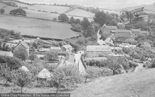 Photo of Stoke Abbott, The Village c.1955