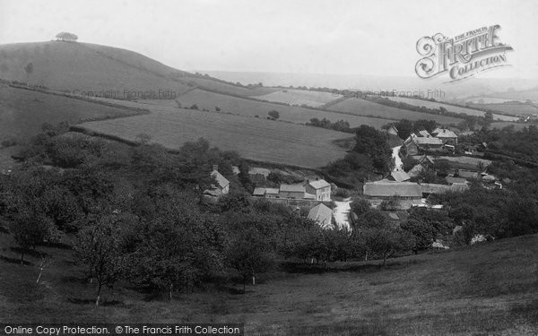 Photo of Stoke Abbott, Village 1902