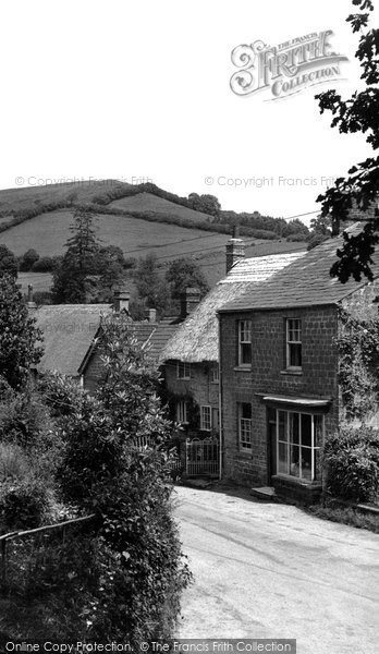 Photo of Stoke Abbott, Waddon Hill c.1955