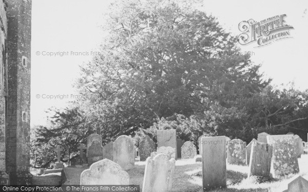 Photo of Stoke Gabriel, Churchyard, The Old Tree c.1960