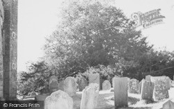 Churchyard, The Old Tree c.1960, Stoke Gabriel