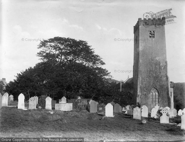 Photo of Stoke Gabriel, The Church And Ancient Yew Tree 1907