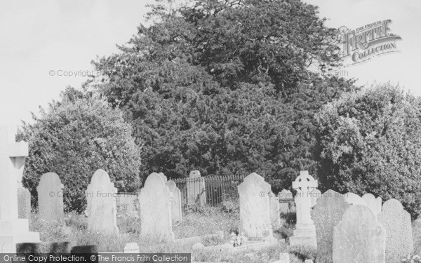 Photo of Stoke Gabriel, The Old Tree, Churchyard c.1960