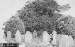 The Old Tree, Churchyard c.1960, Stoke Gabriel
