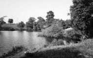 Country View c.1960, Stone