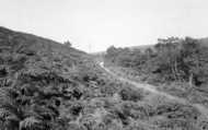 The Downs c.1960, Stone