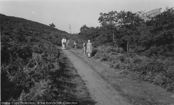 Photo of Stone, The Downs c.1965