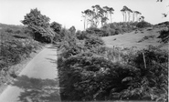 The Downs c.1965, Stone