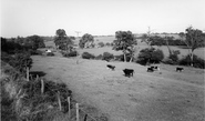 Towards The Downs c.1965, Stone